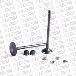 [VAL-031] VALVULAS CALIDAD GOLD (IRON BOX) (ADMISION Y
ESCAPE) XEVERUS-250 19-21/DM-250X 22-23/TITAN 22/DM-250 20
-23