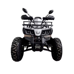 [Q9AM*200BL] CUATRIMOTO NUEVO SIN RODAR COLOR: BLANCO, MOTOR: 161QMLP10000618 CHASIS L9NACMEJ1R1301406