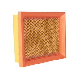 [MZ-318] Filtro de aire elemento DM200