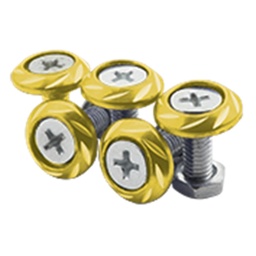 [RS-GRL-12010GD] TORNILLO PLANO DECORATIVOS DORADO UNIVERSAL