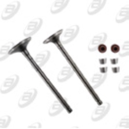[VAL-027] VALVULAS CALIDAD GOLD (IRON BOX) (ADMISION Y ESCAPE) ATV-180 16-20