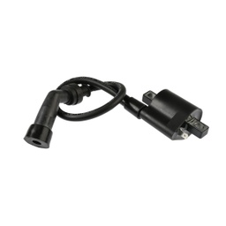 [F06060093] BOBINA IGNICION DM300