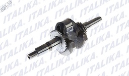 [E08020026] CIGÜEÑAL COMPLETO G3000wts