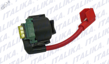 [F06020020] CONJUNTO DE RELE BS250